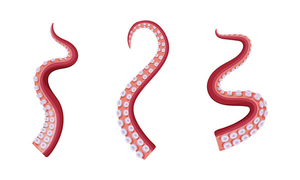 Underwater marine creature body part, octopus tentacles vector illustration isolated on white background.