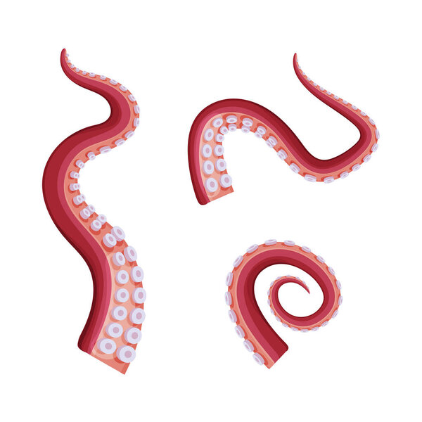 Octopus tentacles with suckers set, underwater marine creature body part cartoon vector illustration isolated on white background.