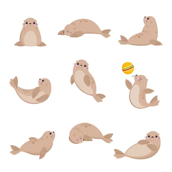 stock vector Cute Seal with Beige Fur and Fins Swimming and Playing Ball Vector Set. Funny Marine Mammal as Aquatic Creature with Whiskers Concept