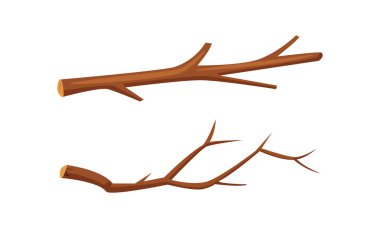 Kuru ağaç dalları kuruldu. Ormancılık ve kereste endüstrisi karikatür vektör çizimi beyaz arka planda izole