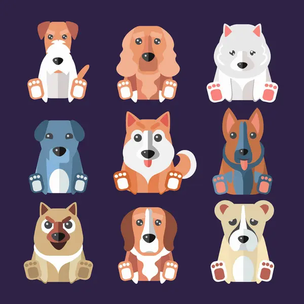 stock image Set of flat popular breeds of dogs icons. illustration.