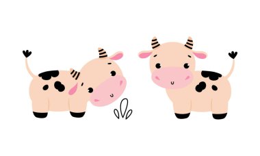 Çimen vektörü setiyle otlakta otlayan şirin inek yavrusu. Çiftlik hayvanı rolünde komik sığırlar