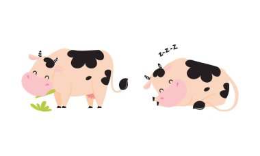 Çimen Çimeni Çiğneyen Çimen Vektör Seti 'nde Uyuyan ve Otlayan Tatlı İnek. Çiftlik hayvanı rolünde komik sığırlar
