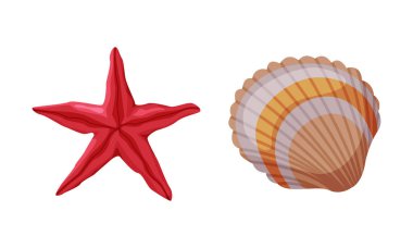 Deniz kabuğu ve Denizyıldızı Seyahat ve Turizm Özniteliği Vektör Kümesi. Yaz Tatili ve Yolculuk Konsepti