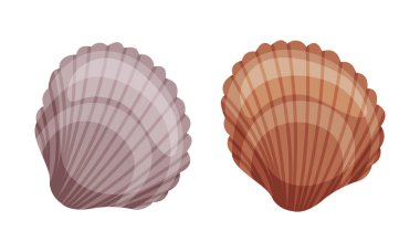 Seyahat ve Turizm Öznitelik Vektör Kümesi Olarak Deniz Kabuğu. Yaz Tatili ve Yolculuk Konsepti