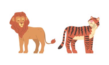 Vahşi Afrika Hayvanı rolünde Mane ve Çizgili Kaplan ile Aslan Savannah Vector Set 'de yaşıyor. Egzotik Savana Memelisi