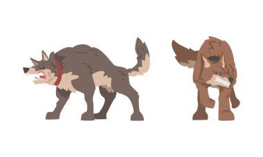 Kızgın Grin Vector Seti 'nde Kızgın Büyük Köpek Yakalı Baring' in dişleri. Hırıldayan Vahşi Ağızlıklı Büyük Bekçi Köpeği