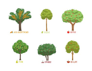 İsimlendirme vektörü seti olan farklı Bahçe Çileği Sıralaması. Mevsimsel Büyüme Olarak Meyveli Yeşil Çalılar