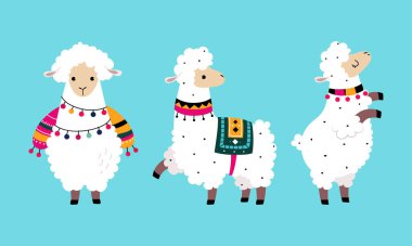 Şirin Yünlü Lama ya da Örgü Ören Örgü Ayaklı Vektör Seti. Camelid Sürüsü Hayvan Konsepti Olarak Yumuşak Güney Memeli