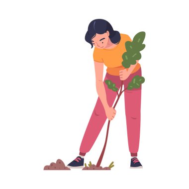 Woman Character Planting Tree Sapling in Soil Taking Care of Planet and Nature Vector Illustration. Young Female Transplanting Tree Seedling in Garden Engaged in Reforestation Activity Concept clipart