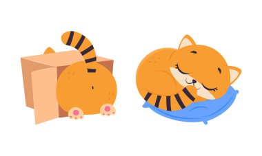 Çizgili Kuyruklu komik kedi yavrusu yastığa sarılıyor ve karton kutu vektör çizim setinde oturuyor. Evcil Hayvan ve Hayvan Konsepti Olarak Yumuşak Kedi