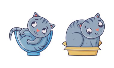 Farklı aktivitelerdeki sevimli gri kedi. Güzel hayvan, beyaz arka planda izole edilmiş karton kutu vektör illüstrasyonunda oturuyor.