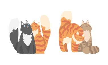 Sevimli kucaklaşan kediler takımı. Aşık komik tüylü kediler beyaz arka planda izole edilmiş vektör çizimi