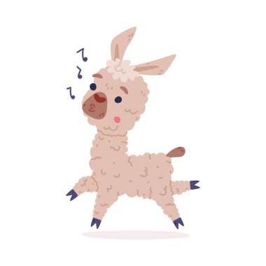 Tatlı bebek lama dans ediyor. Alpaka karakteri evcilleştirilmiş hayvan. Çıkartma, kart, tekstil, çocuk dekorasyon vektörü çizimi için çocuksu baskı beyaz üzerine izole edilmiş