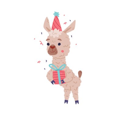 Parti şapkasındaki şirin lama bebek hediye kutusu. Alpaka karakteri evcilleştirilmiş hayvan. Çıkartma, kart, tekstil, çocuk dekorasyon vektörü çizimi için çocuksu baskı beyaz üzerine izole edilmiş