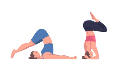 Yoga yapan güzel kadınlar. Yoga sınıfında saban ve asanas antrenmanı yapan kızlar. Beyaz üzerine izole edilmiş fiziksel ve ruhani karikatür vektör çizimi