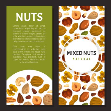 Ceviz ve Badem Vektörü Dikey Sancak Şablonu. Yenilebilir ve Lezzetli Çekirdek ile Reklam Tasarımı Atıştırma ve Sağlıklı Süperyiyecek Konsepti