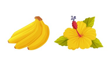 Geleneksel Bali Kültürel Öznitelik Vektör Kümesi rolünde Muz ve Çiçek açan Sarı Çiçek. Olgun Tropikal Meyve ve Çiçek Bali Sembol Konsepti