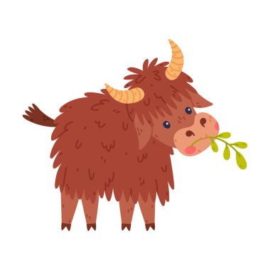 Cute Yak Character with Dense Fur and Horns Standing and Chewing Grass Vector Illustration. Wild Hairy Animal with Funny Snout clipart