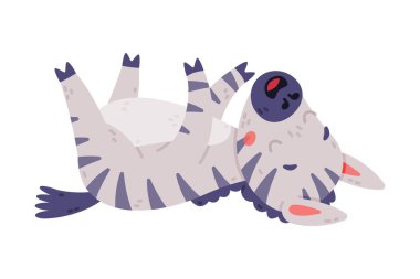 Siyah beyaz çizgili ceketli komik zebra sırtında yuvarlanıyor ve komşu vektör illüstrasyonuyla. Şirin Safari Toynaklı Hayvan Karakteri