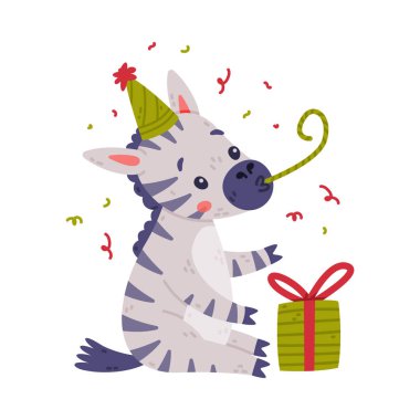 Siyah beyaz çizgili ceketli komik zebra hediye kutusuyla oturuyor ve Whistle Vector Illustration 'ı üflüyor. Şirin Safari Toynaklı Hayvan Karakteri