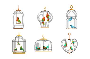Demir Kafes Vektör Kümesinde Renkli Tüylü Egzotik Kuşlar. Evcil Hayvan Olarak Parlak Plumage ile Tropikal Kuşlar