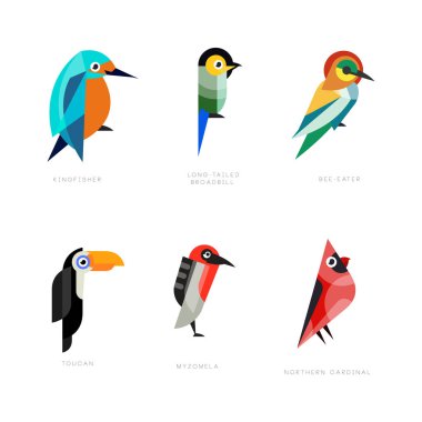 Kingfisher, Uzun Kuyruklu Broadbill, Arı Yiyen, Tukan, Myzomela ve Kuzey Kardinal Vector Set ile Renkli Kuşlar Koleksiyonu. Tüylü Hayvan Adı Kavramı