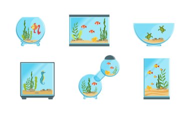 Cam Tatlı Su Akvaryumu Algler ve Yüzen Balık Vektör Seti. Deniz Hayvanı İçin Ev Konteynırı