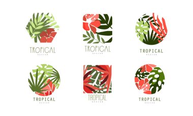 Tropikal logo dizaynı. Çiçekçiler için egzotik bitki ve çiçek etiketleri. Stüdyo, kozmetik, ekolojik proje, beyaza izole edilmiş spa düz vektör çizimi.