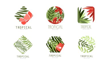 Tropikal logo dizaynı. Egzotik bitkiler ve çiçekli parlak rozetler beyaz üzerinde izole edilmiş düz vektör çizimi