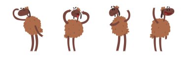 Kahverengi yün kürk vektörü seti olan komik koyun karakteri. Şirin Ev Hayvanları Hayvan Etkinliği