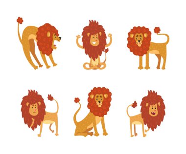 Çeşitli eylemlerdeki komik aslanlar. Şirin vahşi sirk Afrikalı hayvan ayakta, kükreyen, meditasyon yapan vektör illüstrasyonu beyaz üzerinde izole edilmiş.