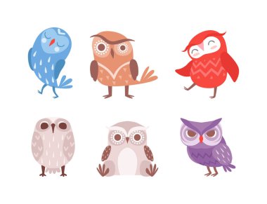 Komedyen Kuş Vektör Seti rolünde Koca Gözlü Komik Baykuş. Orman Hayvanları Konsepti rolünde Şirin Kanatlı Kuş