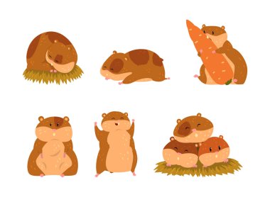 Tatlı Hamster, Yanak Torbalı Küçük Hayvan rolünde Farklı Etkinlik Vektörü Set 'inde. Güzel Burunlu Komik Kemirgen Hayvanı