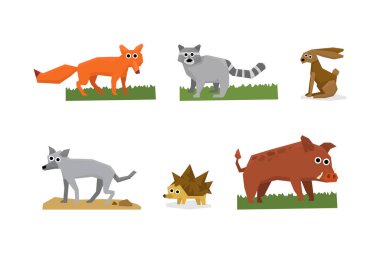 Tilki, Rakun, Hare, Kurt, Kirpi ve Domuz Vector Set 'li Şirin Orman Hayvanları. Vahşi Yaşam ve Hayvanat Konsepti