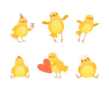 Şirin Sarı Piliç Farklı Etkinlik Vektörü Seti 'nde. Küçük Yavru Tavuk Evcil Kuş