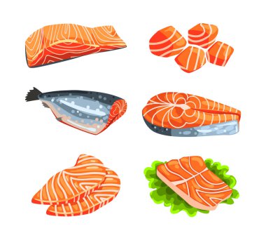 Taze somon balığı fileto ve biftek deniz ürünleri taşıyıcı seti olarak. Proteinli Turuncu Yağ Balığı ve Omega-3 Yağlı Aslar Sağlıklı Beslenme Konsepti