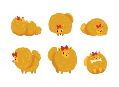 Şirin Pomeranian Spitz Köpeği Kalın Kahverengi Kürklü ve Başında Farklı Poz Vector Seti ile. Komik Evcil Hayvan Çiftliği
