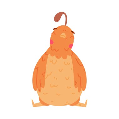 Oturan Poz Vektörü İllüstrasyonunda Crest ve Tüylü Bıldırcın Kuşu. Komik Uçan Yaratık ve Küçük Sevimli Kuş