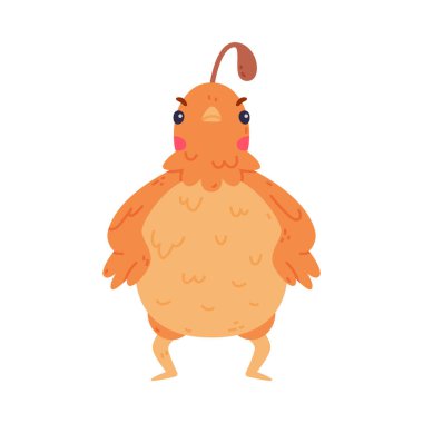 Tepeli ve Tüylü Bıldırcın Kuşu Kızgın Kaşlı Vektör İllüstrasyonu. Komik Uçan Yaratık ve Küçük Sevimli Kuş