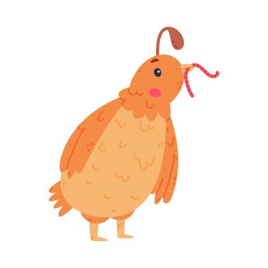 Crest ve Feathers Holding Worm ve Gaga Vektör İllüstrasyonuyla Bıldırcın Kuşu. Komik Uçan Yaratık ve Küçük Sevimli Kuş