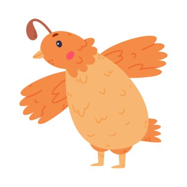 İpli Bıldırcın Kuşu ve Tüyleri Yayılmış Kanat Vektörü İllüstrasyonuyla Duruyor. Komik Uçan Yaratık ve Küçük Sevimli Kuş