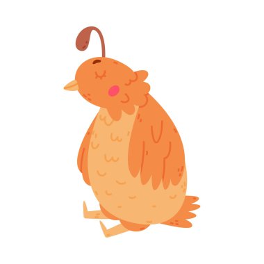 Oturan Poz Vektörü İllüstrasyonunda Crest ve Tüylü Bıldırcın Kuşu. Komik Uçan Yaratık ve Küçük Sevimli Kuş