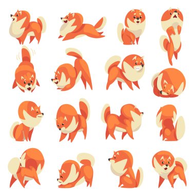 Şirin Spitz, Kalın Kürklü Büyük Vektör Kümeli Ev Köpeği Çiftliği. Kırmızı Ceketli Komik Köpecik ve Evcil Hayvan ve Güzel Burunlu Farklı Poz