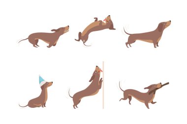 Çeşitli Poz Vector Set 'deki komik Dachshund Kahverengi Köpek Karakteri. Oyuncu Ev Köpeği ve Köpek Çiftliği Konsepti