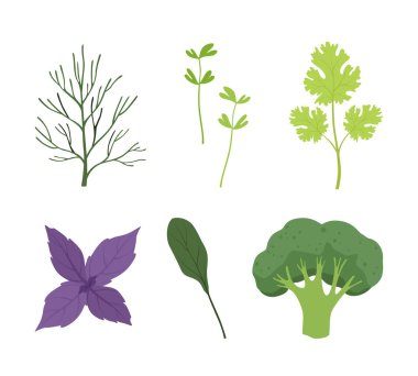 Yeşil Salata Sebzeleri ve Yapraklar Pişirme Vektörü Seti için Organik Bitkiler olarak. Sağlıklı Beslenme İçin Çiğ Bahçe Malzemesi