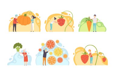 Garden Vector Set 'ten dev sebzeler ve meyveler toplayan insan karakterleri. Büyük Tarım Ürünleri ve Çiğ Vitaminli Yiyecekleri olan Minik Adam ve Kadın