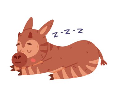 Tatlı bebek Okapi yalan söylüyor ve uyuyor. Beyaz üzerine izole edilmiş komik vahşi Afrika hayvan karakteri çizgi film vektör çizimi