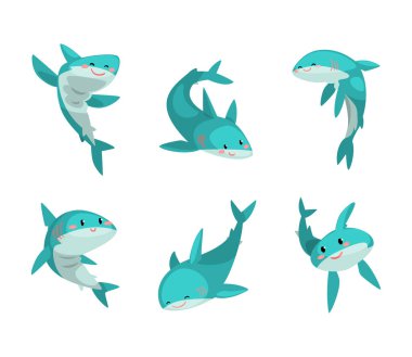 Mavi Köpekbalığı ve Deniz Hayvanı Yüzen ve Gülümseyen Yüzen Yüzen Yüzgeçli Yüzgeçler. Keskin Dişli Su Memelisi