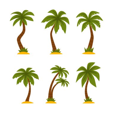 Palm Tree, Tropikal Bitki rolünde. Bagajı Kum Vektörü Kümesine Dinlenmiş. Dalsız Kök ve Evergreen Yaprakları Konsepti ile Egzotik Flora